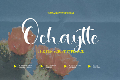 Ochaytte - Fun Script Font alternate beauty bold fancy feminime flyer handwritten ligature luxury makeup new old poster retro script signature skincare typeface vintage wedding