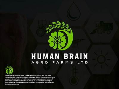 Human Brain Agro farms LTD Logo Design agriculture branding creative design graphic design human brain logo logos modern logo tech farm vector