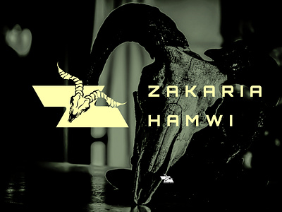 ZAKARIA HAMWI PERSONAL BRAND/VISUAL IDENTITY art directio brandidentity branding content creative direction graphic designer marketing strategy visualidentity