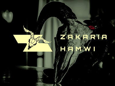 ZAKARIA HAMWI PERSONAL BRAND/VISUAL IDENTITY art directio brandidentity branding content creative direction graphic designer marketing strategy visualidentity