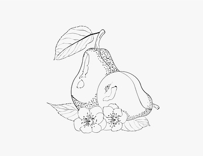 Avocado line art design coloring book