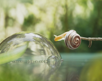 Snail :) 3d blender bug cycles insect macro shot modelling nature photorealistic snail