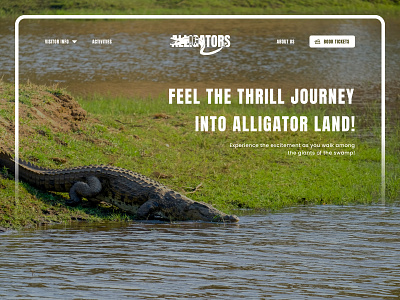 Zoo(Alligators) home page front page home page logo ui website zoo