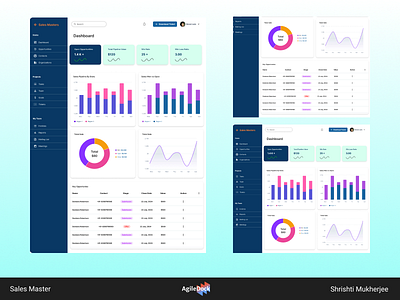 Design for Sales Master agiledock designs agiledock ui ux design agiledock web design company sales master sales master design ui design ui ux design ux design web design