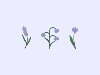 Flowers (part 3) | Illustrations fleur fleurs illustration lavande lavender purple simple tulip tulipe vector violet violettes