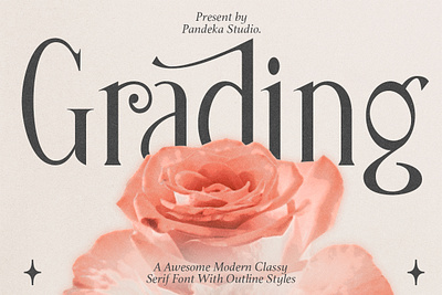 Grading - Modern Ligature Serif chic