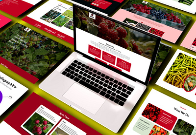 Website Design for organic farming business agriculture and organic farm agriculture farm agriculture farm website agriculture websites e farming website farm app farm website organic farm website organic farm website template organic farming organic food farms organic food websites organic website websites about farming