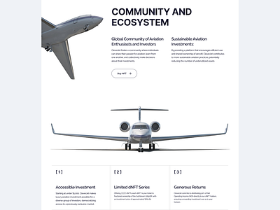 CleverJet NFT. Website Design crypto design jet nft ui uiux user interface ux web webdesign