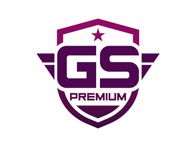 Letter GS Premium Logo Design g s