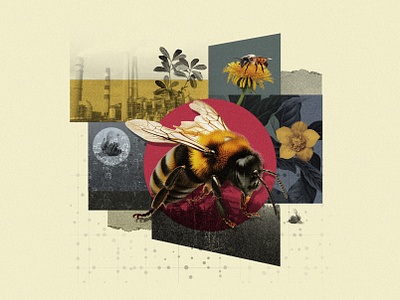 Bumblebee Collage collage composition editorial environment illustration nature news