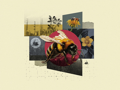 Bumblebee Collage collage composition editorial environment illustration nature news