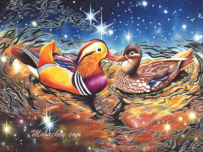 I Love Forever Through All Space & Time animal art art prints artist artwork bird commission duck ducks freelance gouache illustration illustrator nasa paint painter painting space wall art watercolor