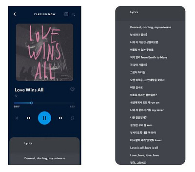 Music App Lyric Feature mobile ui music app ui ux