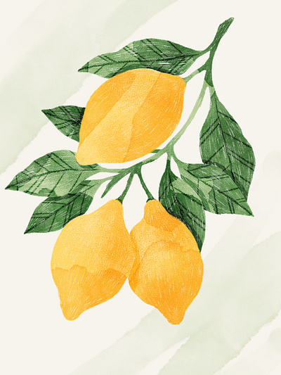 Lemons Illustration botanical botany fruit illustration lemons pencil poster wall art watercolor