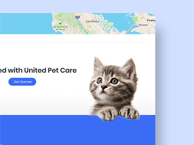 CTA: Pet Care Website animals call to action cat cta health health care pet pet care pet health care pets photo ui web web design website website design