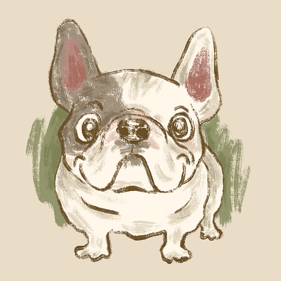 Sketch of French Bulldog animal character dog illustration pet puppy