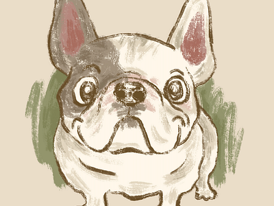 Sketch of French Bulldog animal character dog illustration pet puppy