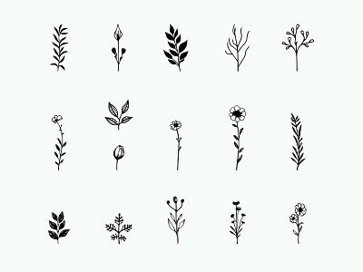 Hand-Drawn Style Vector Botanical Elements free vectors