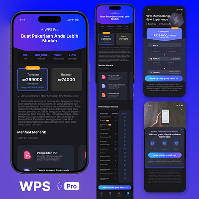 WPS Pro ui design branding graphic design ui