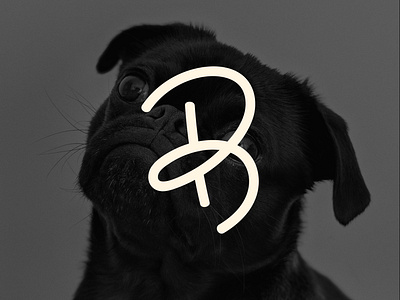 Barky Mark - Branding b letter b letter logo b logo b mark barky branding dog dog loog logo logo design logomark mark