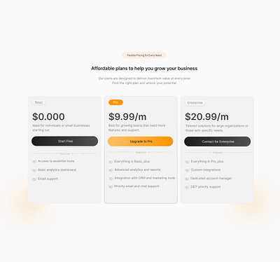 pricing section dailyui illustration product design saas uiux user experience ux