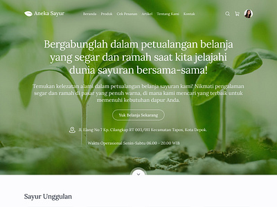 Aneka Sayur - Website Toko Sayur Organik Segar branding ui