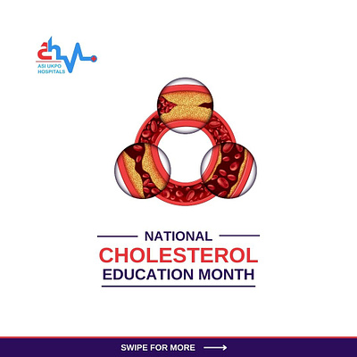 Cholesterol Education digital communications digital marketing graphic design