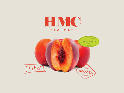 HMC Farms Visual Identity + Website Design Refresh agriculture badge branding farm fruit fruit crate logo refresh vintage visual identity website