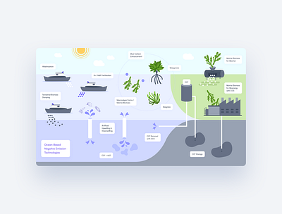 Scientific Poster Illustration branding data illustration poster scientific visualization