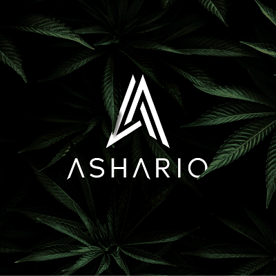 Ashario branding graphic design logo