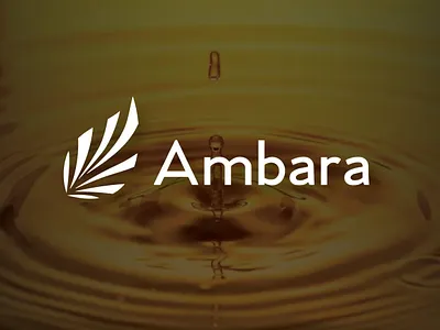 AMBARA | BRAND IDENTITY AND LOGO DESIGN graphic desingning