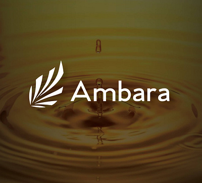 AMBARA | BRAND IDENTITY AND LOGO DESIGN graphic desingning