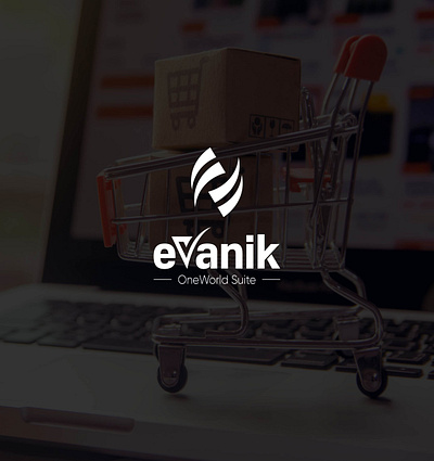 EVANIK | BRAND IDENTITY AND LOGO DESIGN graphic desingning