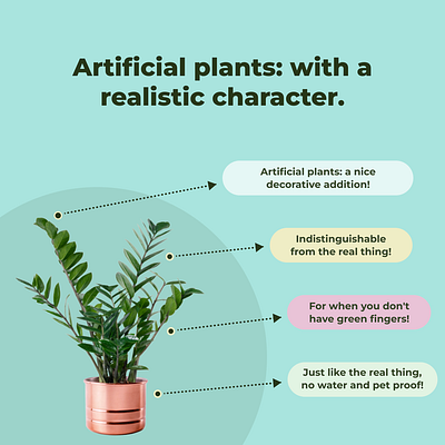 Plant banner- Instagram post animation artificialplants bannerdesign botanicaldesign branding decorbanner digitalart ecofriendly graphicdesign greenliving homedecor interiordesign moderndesign natureinspired plantaesthetic plantart plantlovers ui uiuxdesign