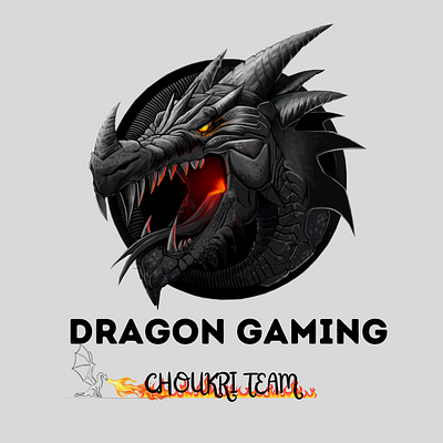 Dragon Gaming Logo custom gaming logo dragon gaming logo esports logo design graphic design