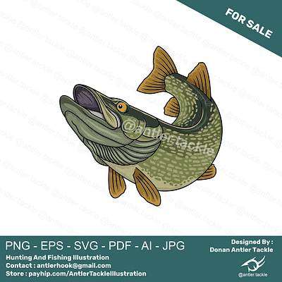 Pike Fishing Illustration Design For Sale fishing illustration fishing logo pike fishing pike fishing illustration pike fishing logo pike svg pike vector