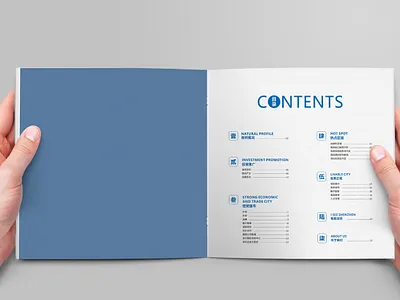 Shenzhen Business Bureau Investment Promotion Brochure Design branding design graphic design illustration typography