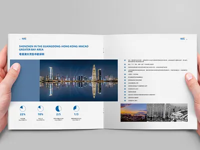 Shenzhen Business Bureau Investment Promotion Brochure Design branding graphic design illustration typography