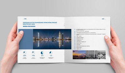 Shenzhen Business Bureau Investment Promotion Brochure Design branding graphic design illustration typography