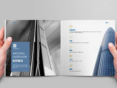 Shenzhen Business Bureau Investment Promotion Brochure Design branding design graphic design illustration typography