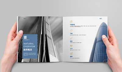 Shenzhen Business Bureau Investment Promotion Brochure Design branding design graphic design illustration typography