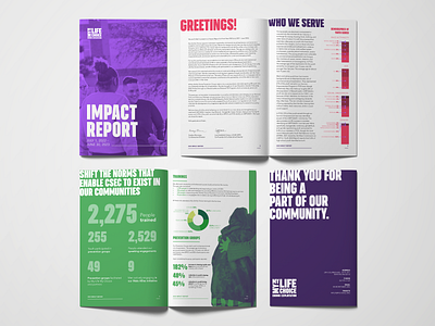 Impact Report branding graphic design illustrator indesign infographic photoshop report