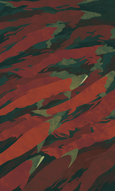 Salmon art design editorial art illustration nature