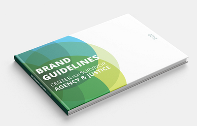 Branding Guide branding graphic design illustrator indesign nonprofit photoshop