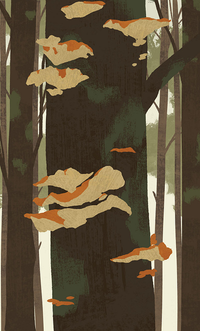 Chicken Of The Woods art design editorial art fungi illustration nature