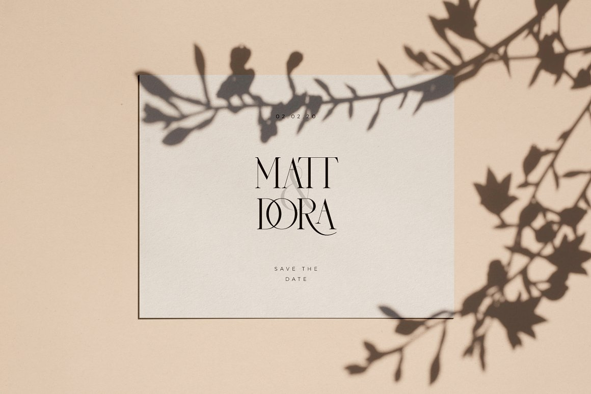 Sauvage Elegant Font + Free Logos by Best Font Shop on Dribbble