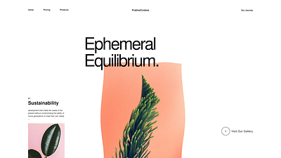 Ephemeral Equilibrium Landing Page vector