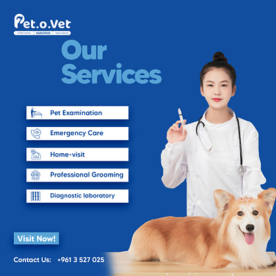 Pet.o.vet Services for Pets cats dog dog caring dogs emergency care pet carousel design pet examination pet o vet pets