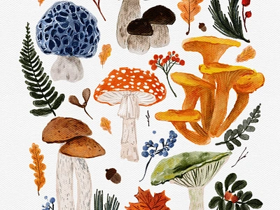 Forest Mushrooms and Plants Illustration autumn berries botanical fall forest fungus mushroom nature plants woodland