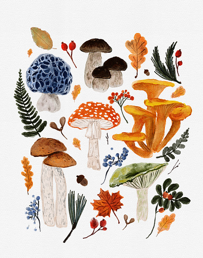 Forest Mushrooms and Plants Illustration autumn berries botanical fall forest fungus mushroom nature plants woodland